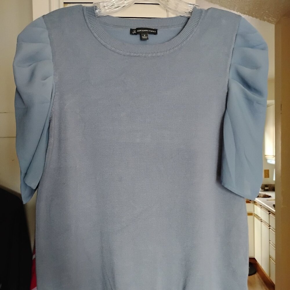 ADRIANNA PAPELL Light Blue Sweater